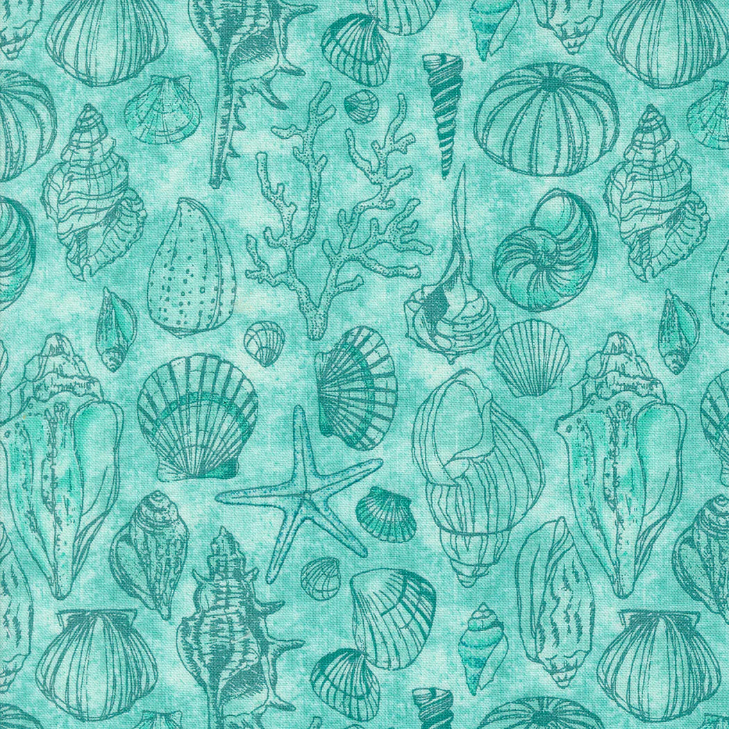 Serena Shores - Shells