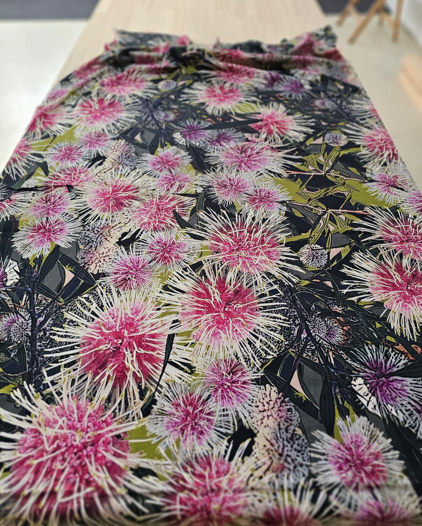 Spotted Quoll - Pincushion Hakea Stretch Cotton Knit