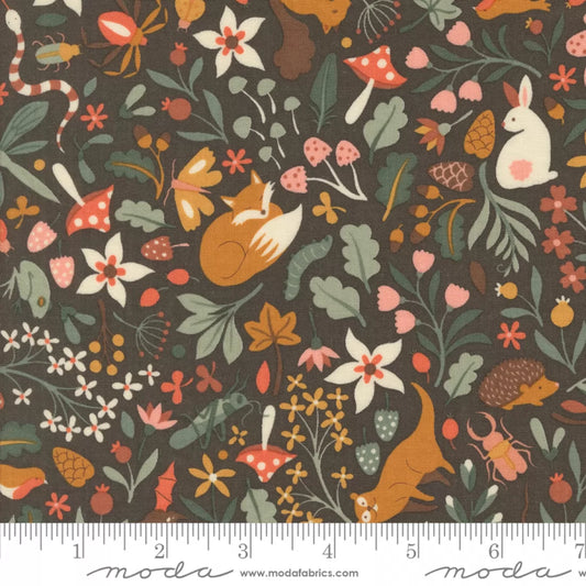 Acorn Hollow - Flora And Fauna Soil