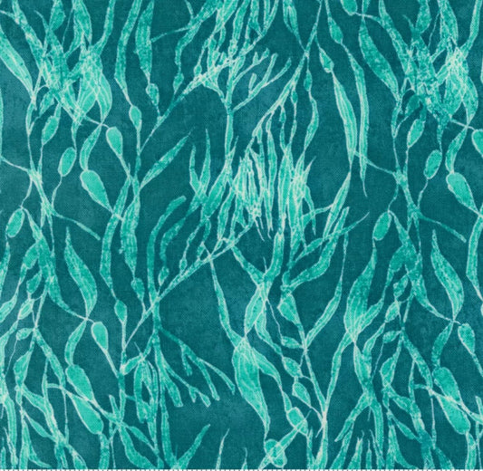 Serena Shores - Seaweeds Lagoon