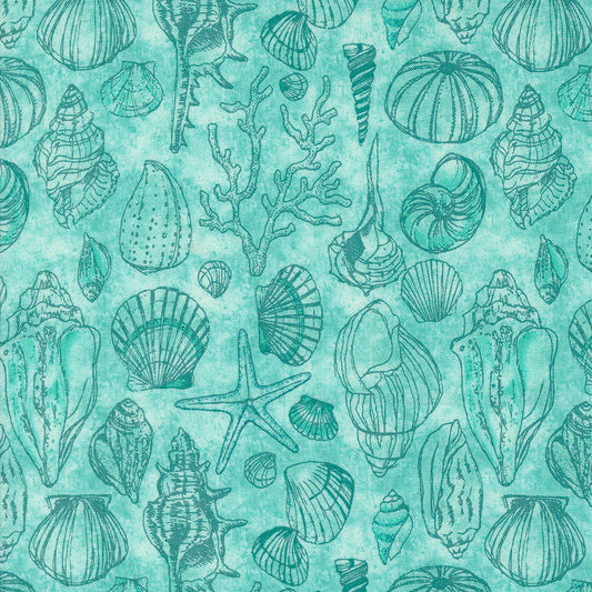 Serena Shores - Shells