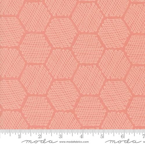 Bee Garden Honeycomb Carnation