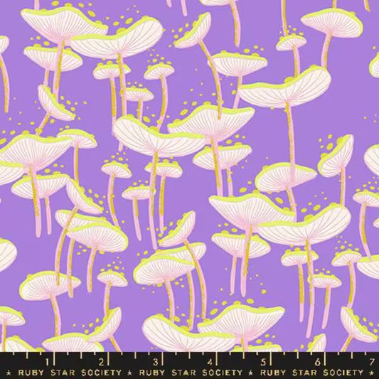 Fungi in Amethyst